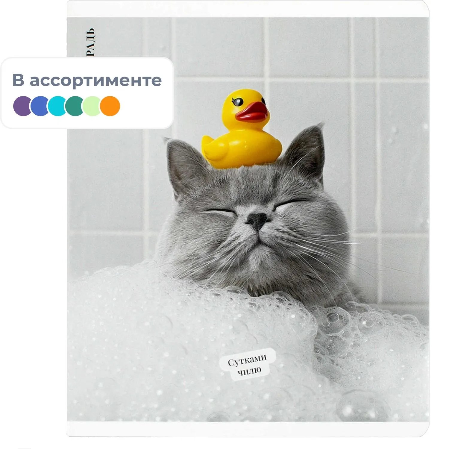 Общая тетрадь Феникс+ «Кот с уткой», формат А5+, клетка