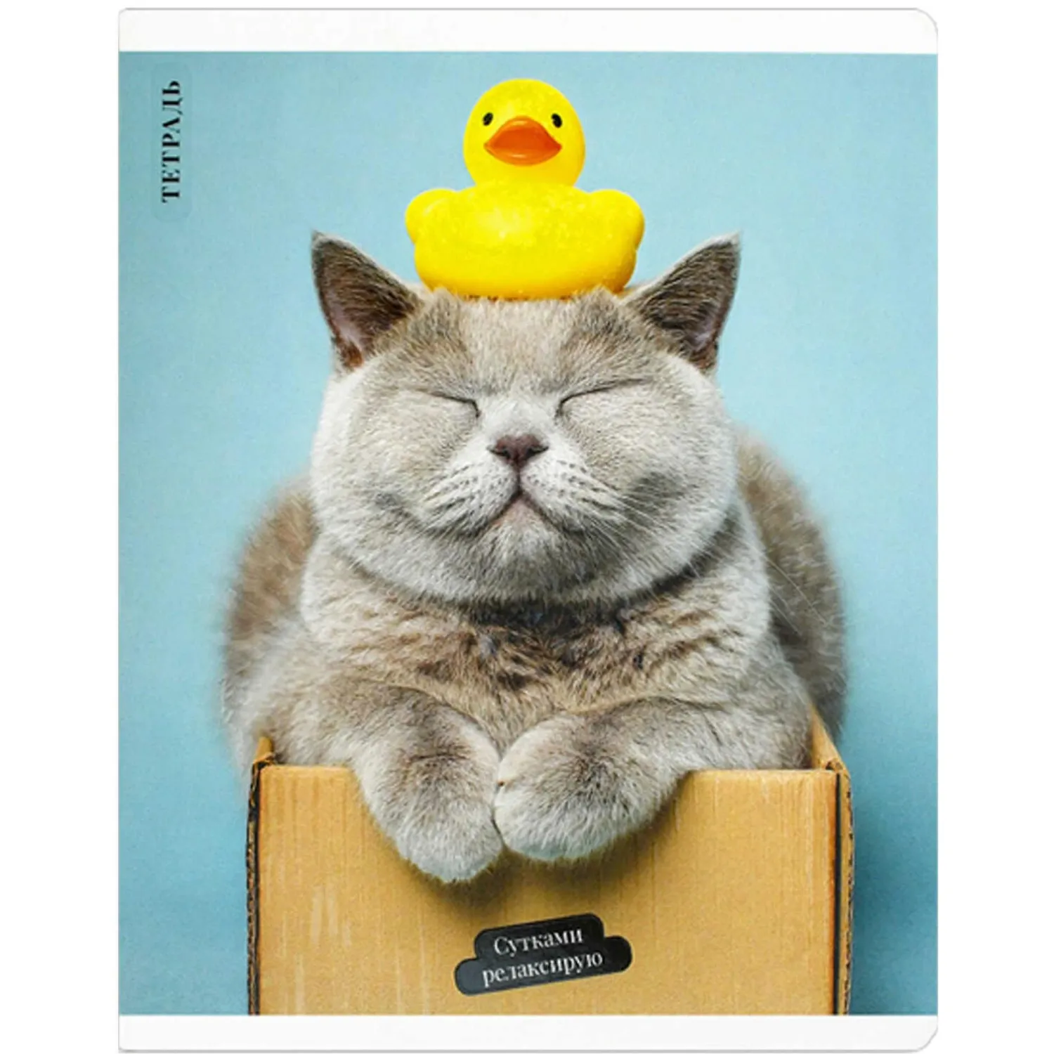 Общая тетрадь Феникс+ «Кот с уткой», формат А5+, клетка - Image 3