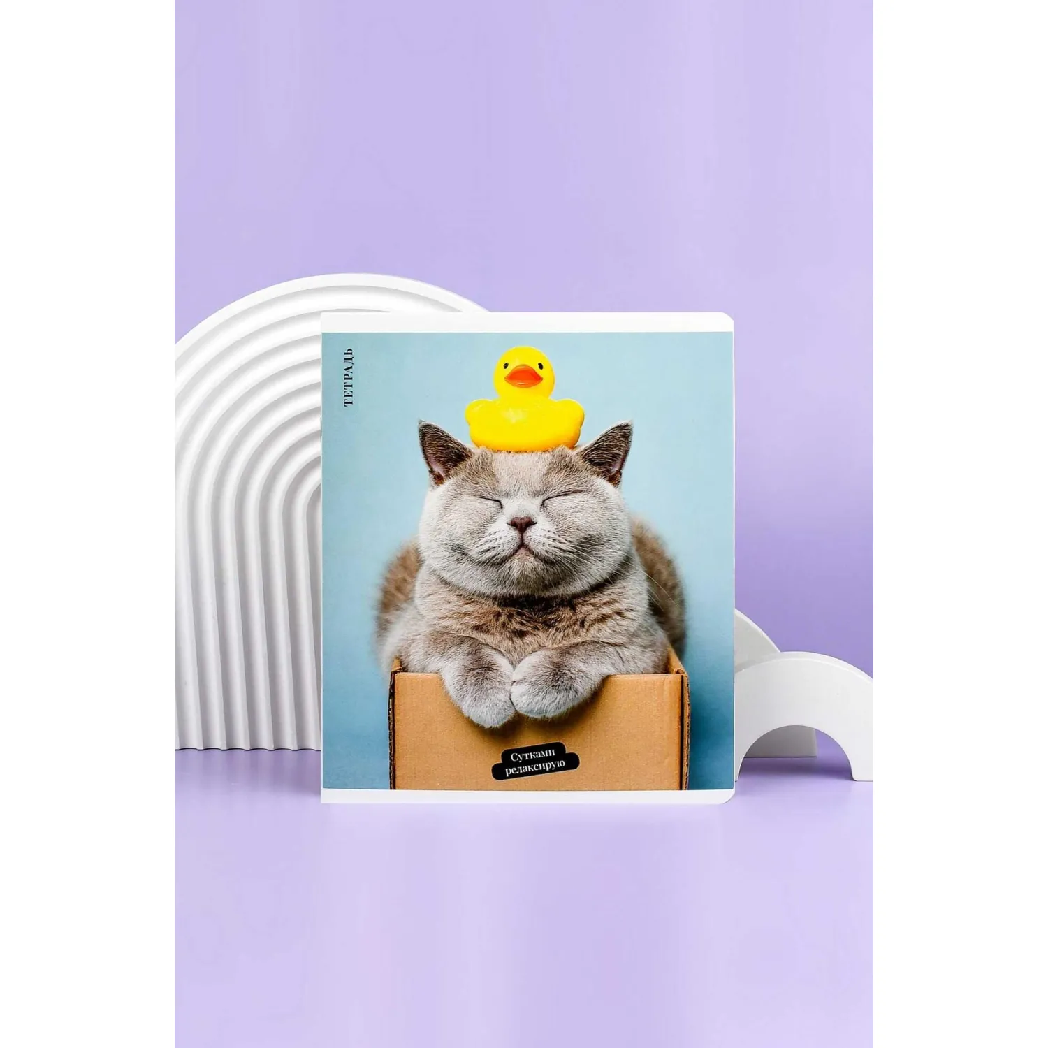 Общая тетрадь Феникс+ «Кот с уткой», формат А5+, клетка - Image 21