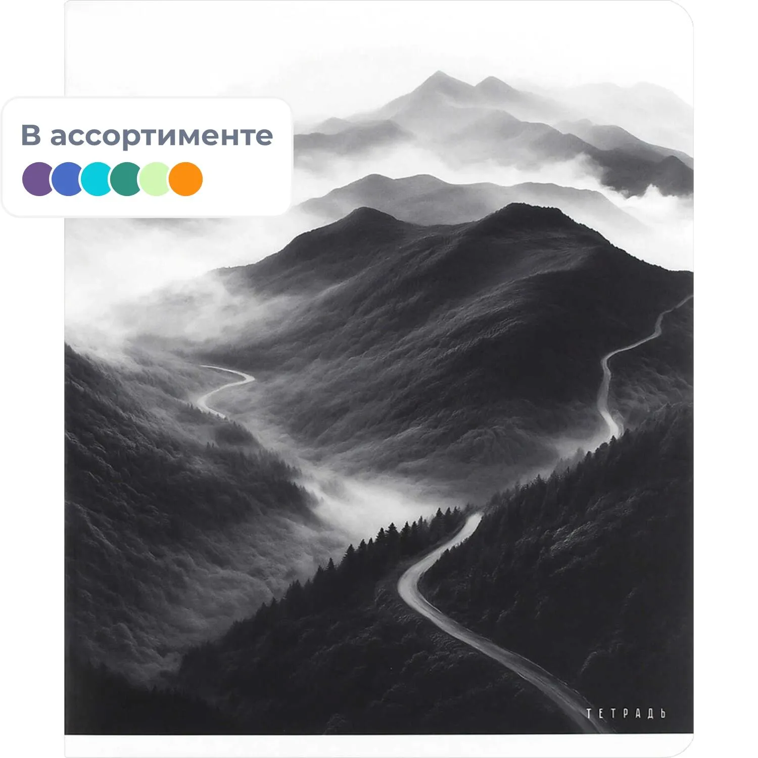 Общая тетрадь Феникс Сила природы А5+ 96 листов клетка, для записей и конспектов