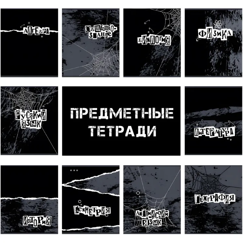 Набор предметных тетрадей Комус Класс Панк А5 48л, 10шт/упак