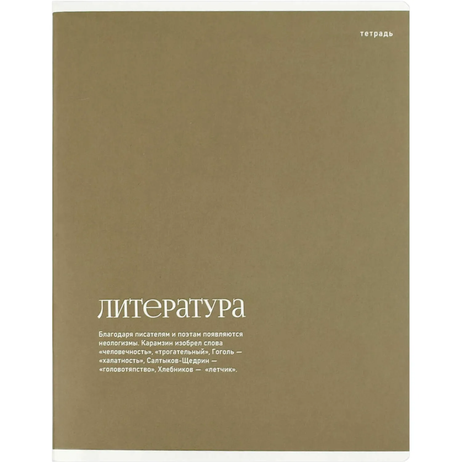 Тетрадь предметная по литературе Феникс+ А5+, 48 листов, УФ-лак, 16×20 см