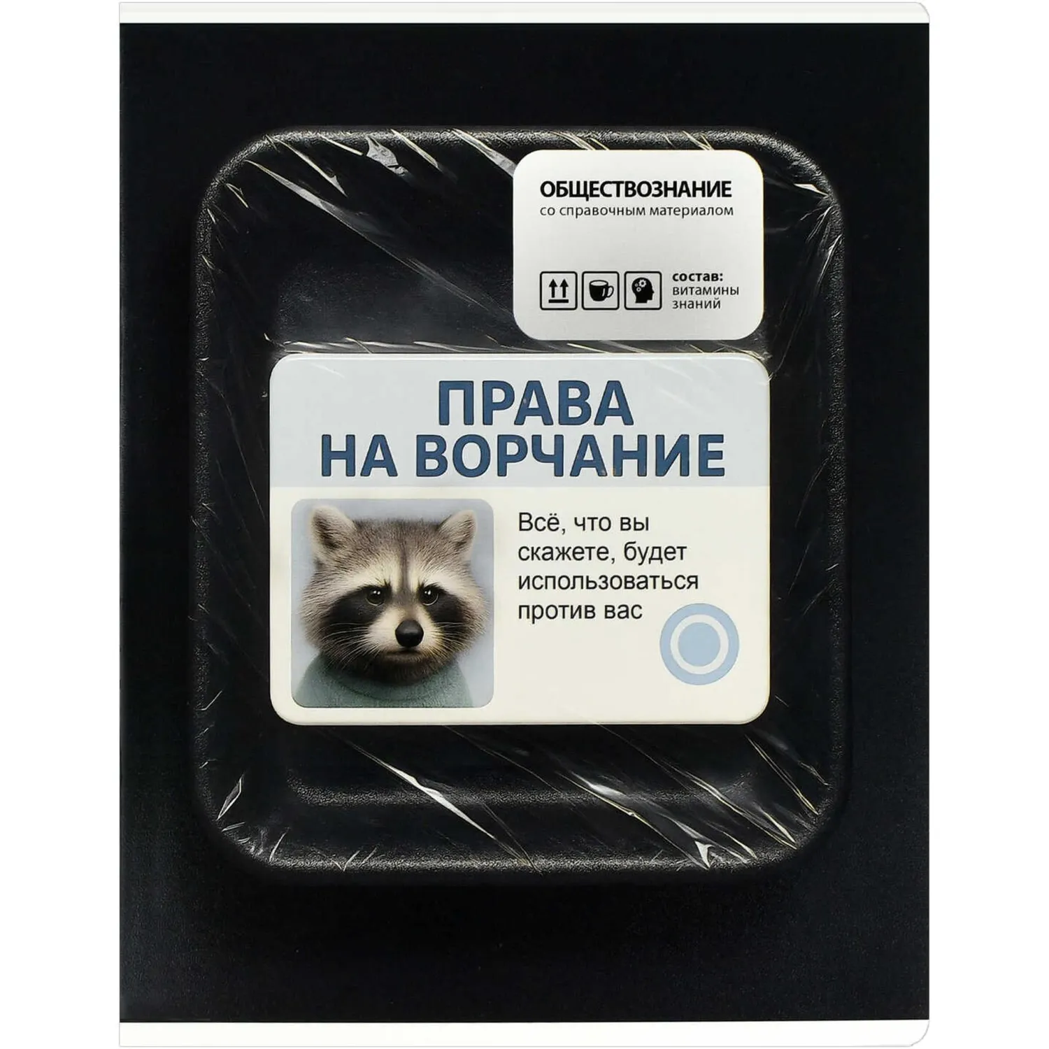 Тетрадь по обществознанию Феникс+ «Фразы с характером», А5, 5 класс