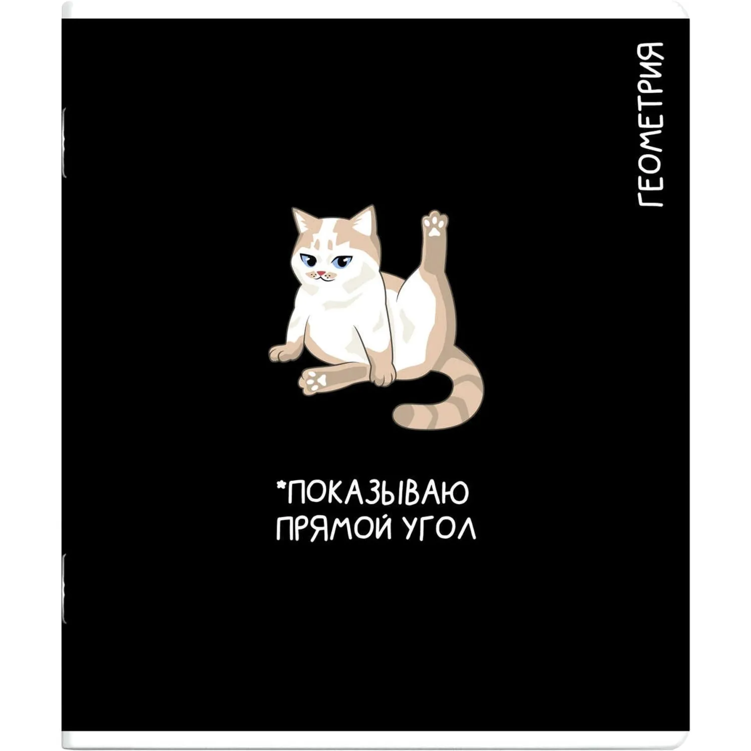 Тетрадь по геометрии Феникс+ «Коты мемы», А5, школьная, клетка