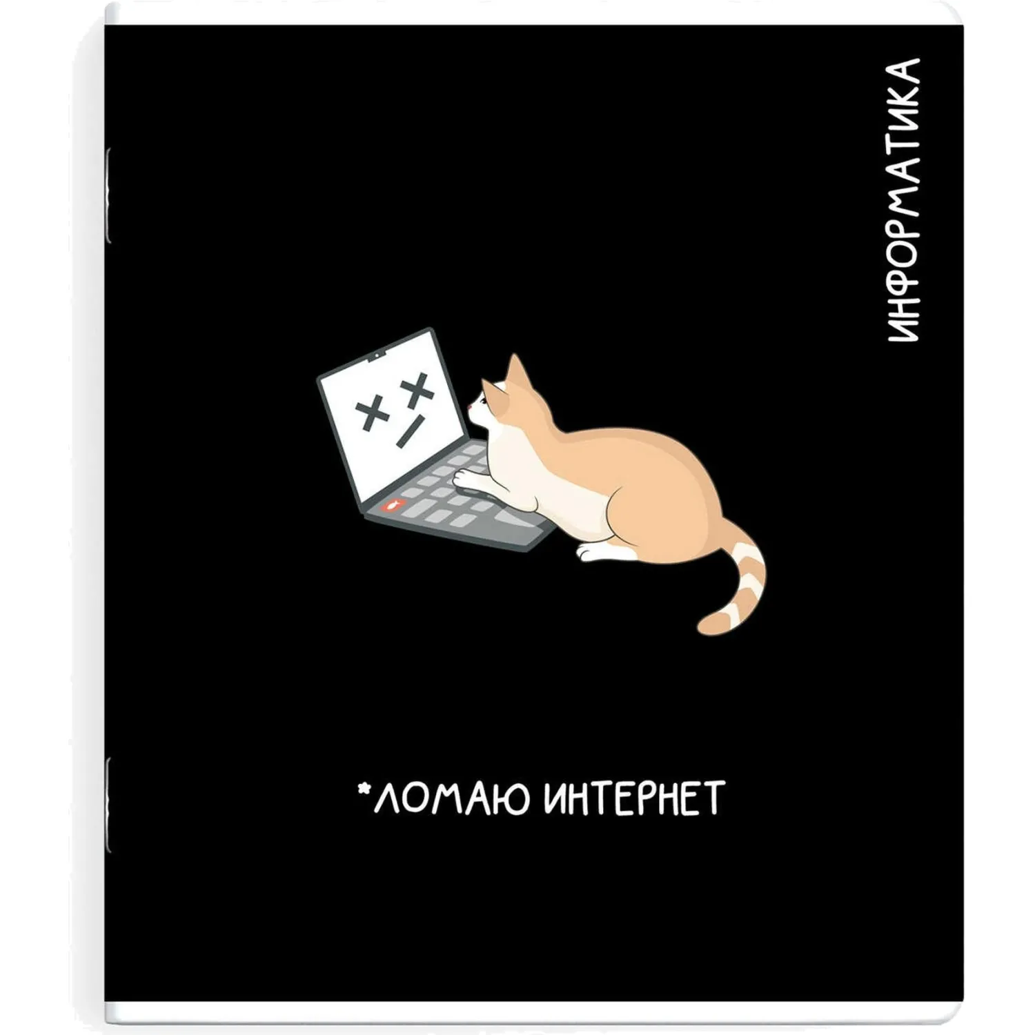 Тетрадь предметная по информатике Феникс+ А5+, 48 листов, клетка, TWIN-лак, мемы