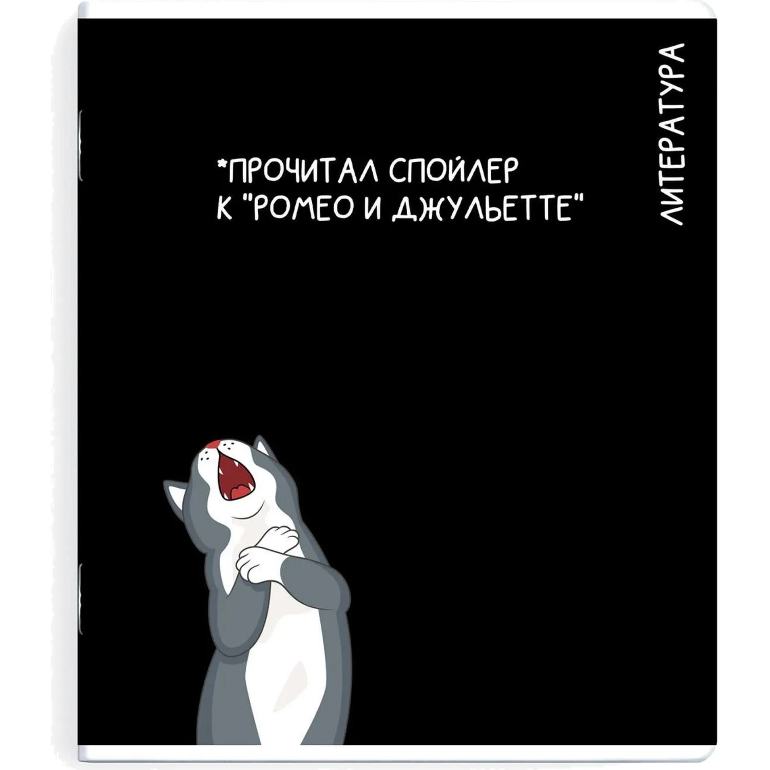 тетрадь по литературе Феникс+ «Коты мемы», формат А5+ для школьников