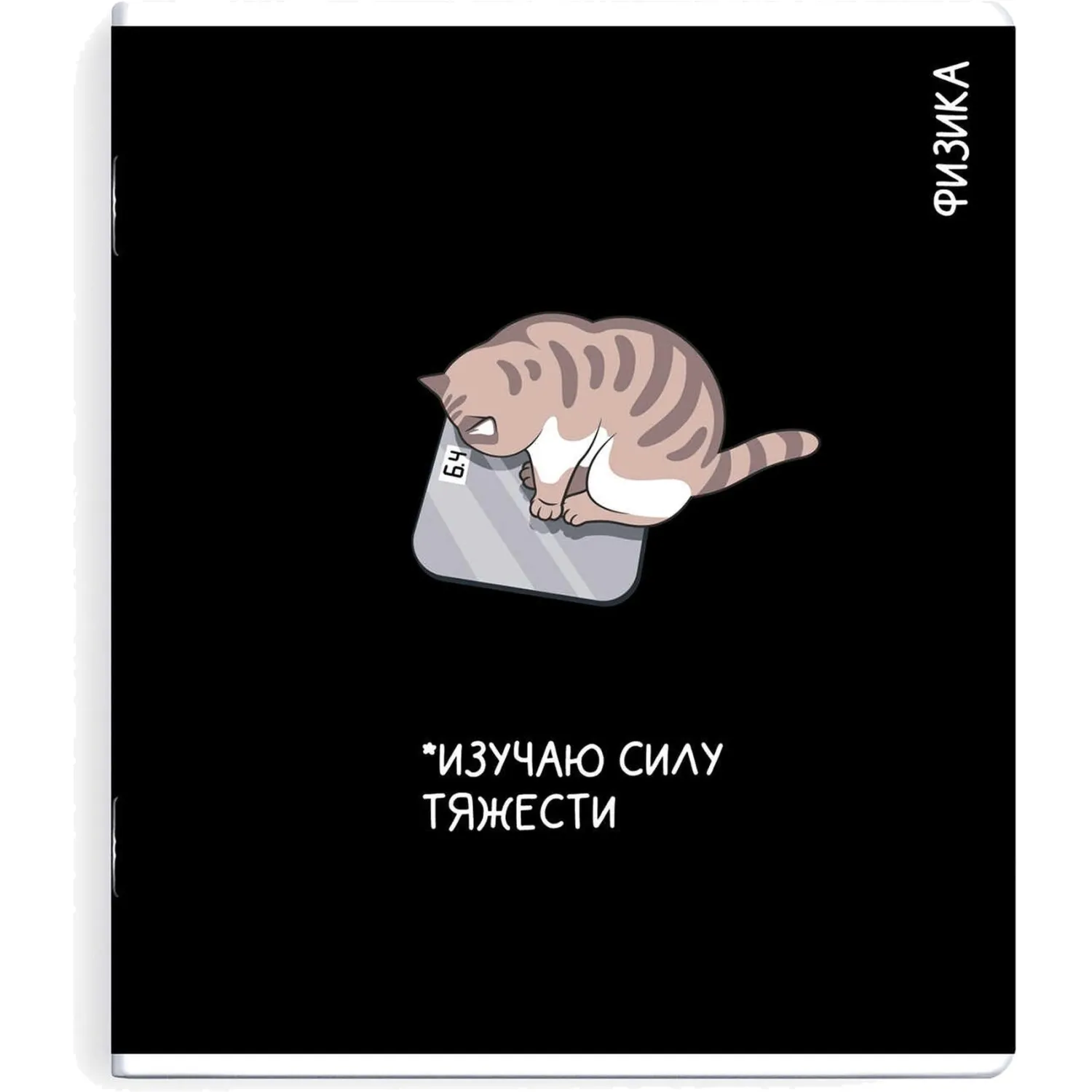 Тетрадь предметная по физике Феникс+ А5+, 48 листов, клетка, TWIN-лак, мемы