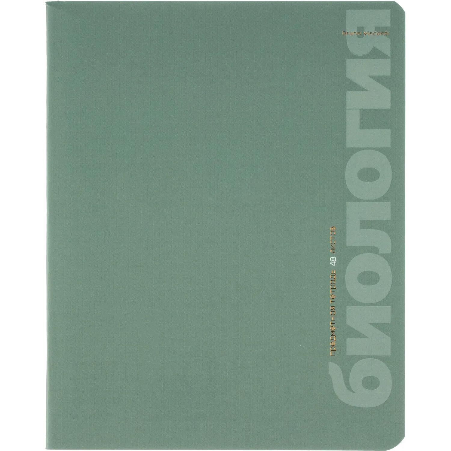 Набор предметных тетрадей Альт Monocolor А5+ (10 шт.), 48л, клетка, Soft Touch, школа - Image 5