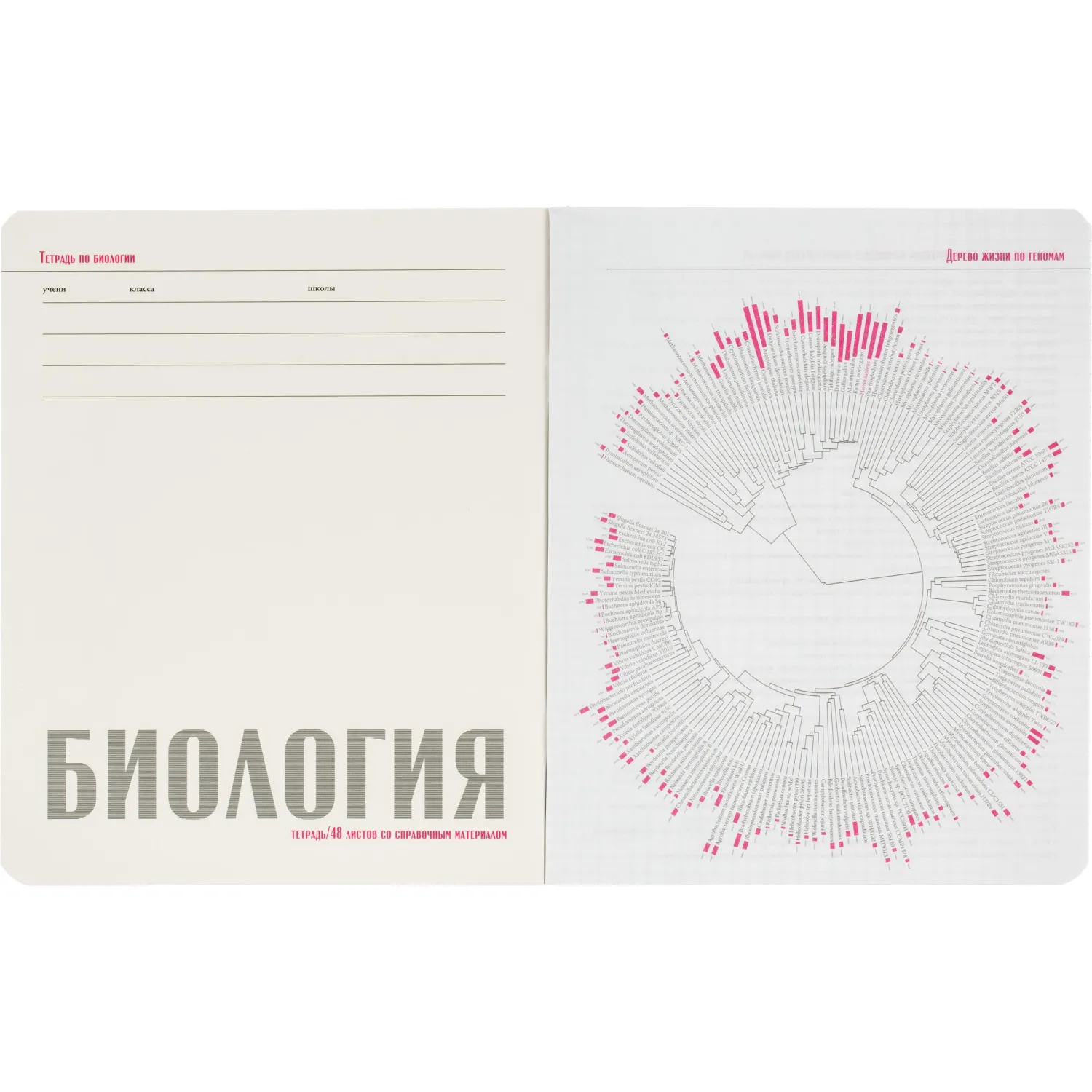 Набор предметных тетрадей Альт Monocolor А5+ (10 шт.), 48л, клетка, Soft Touch, школа - Image 43