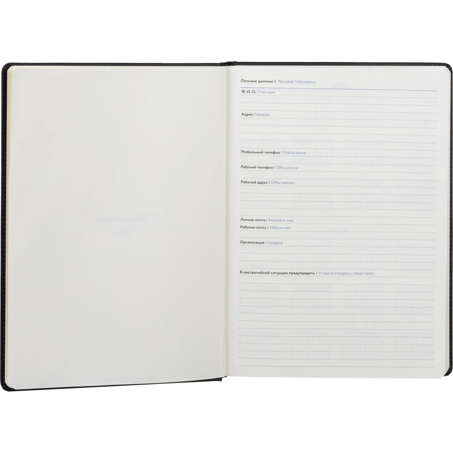 Ежедневник недатированный Attache Classic А4 (136 л.), экокожа, календарь, 21,2×30,2 см - Image 7
