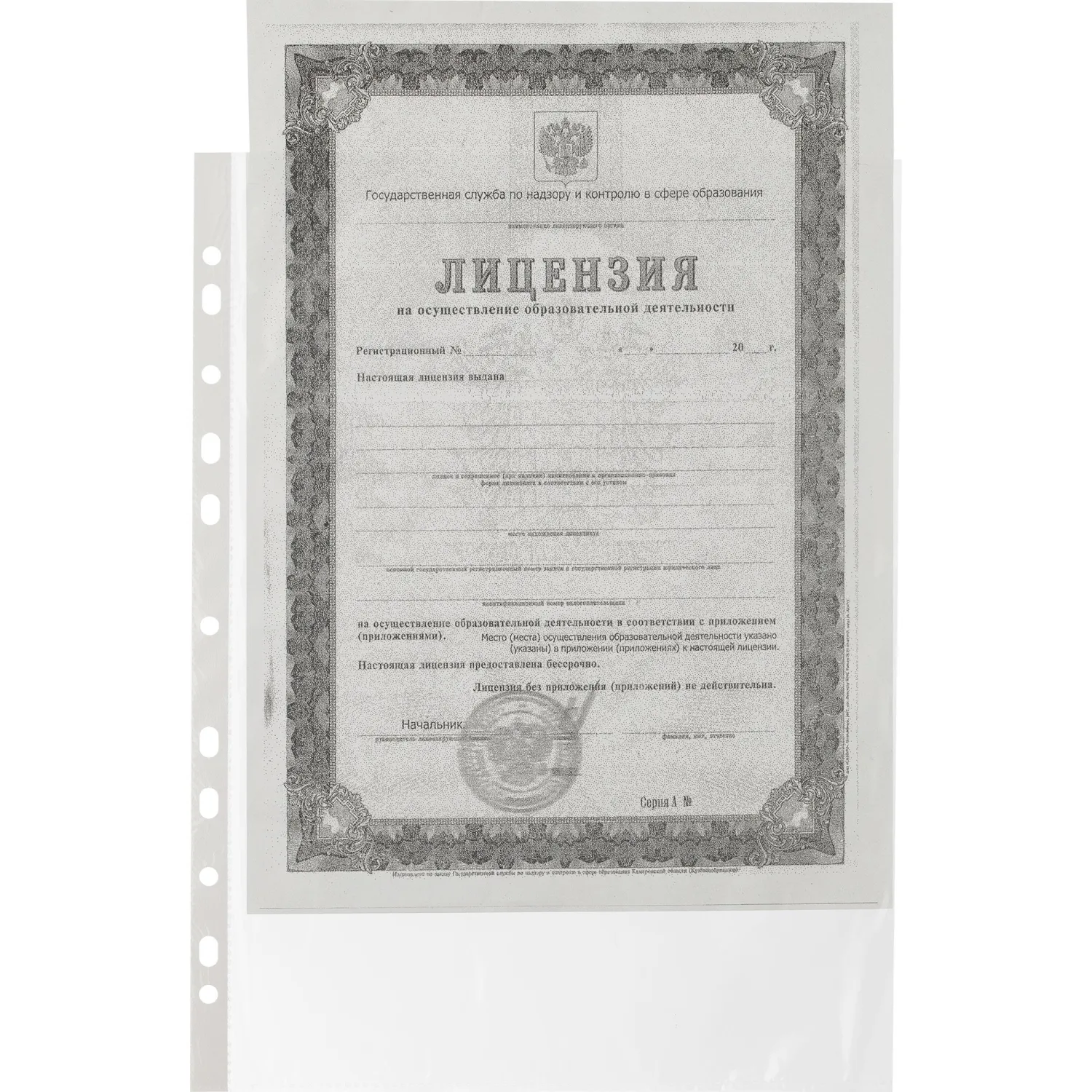 Файл-вкладыш А4 25 мкм гладкий с перфорацией (100 штук в упаковке) - Image 3