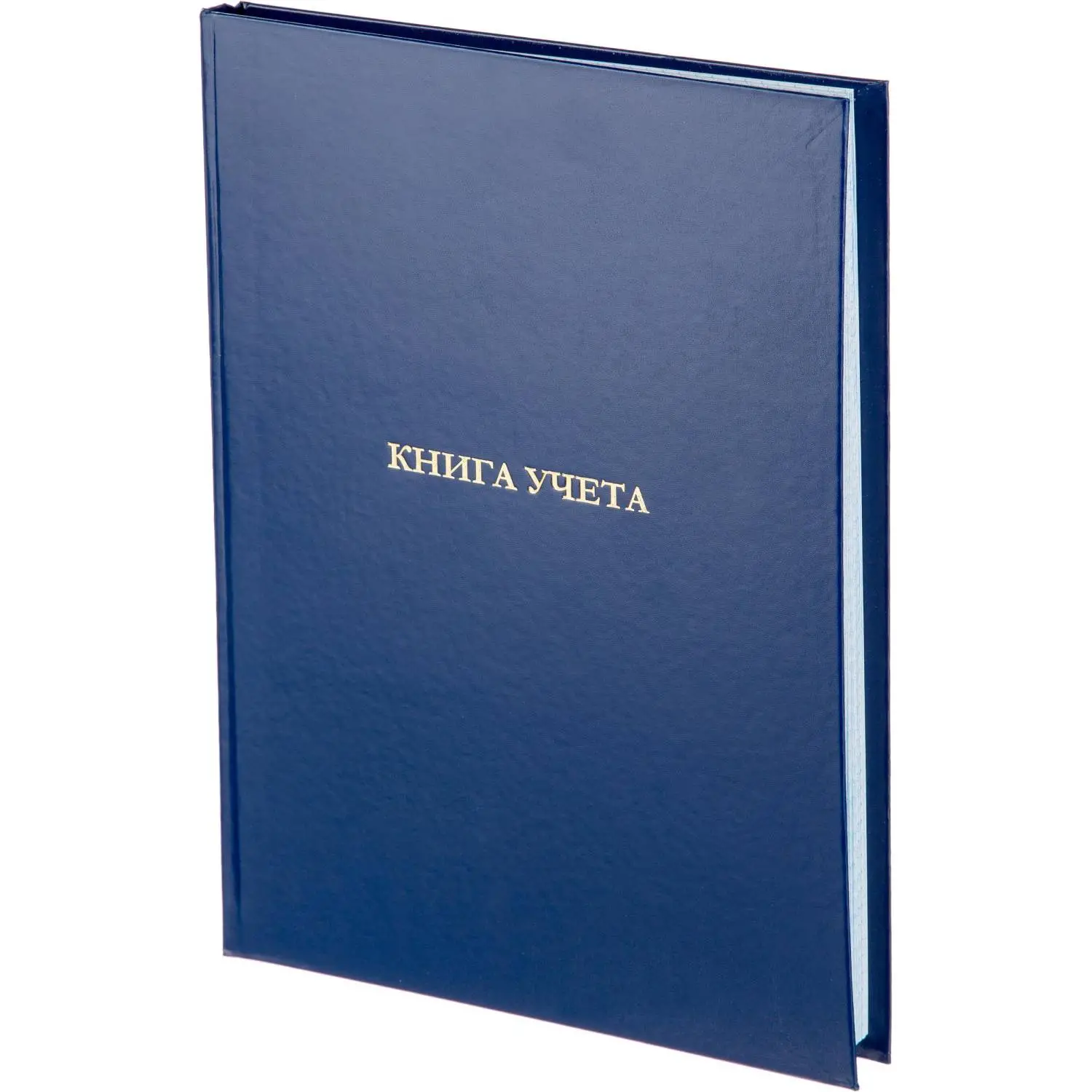 Книга учета 128 листов А4 в клетку на сшивке блок офсет (обложка - бумвинил) - Image 2