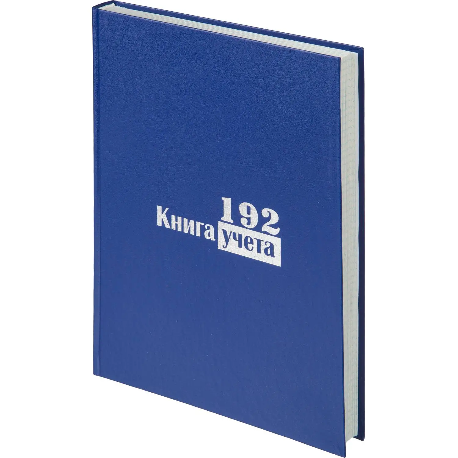 Книга учета 192 листа А4 в клетку блок типографская бумага (обложка из бумвинила) - Image 2