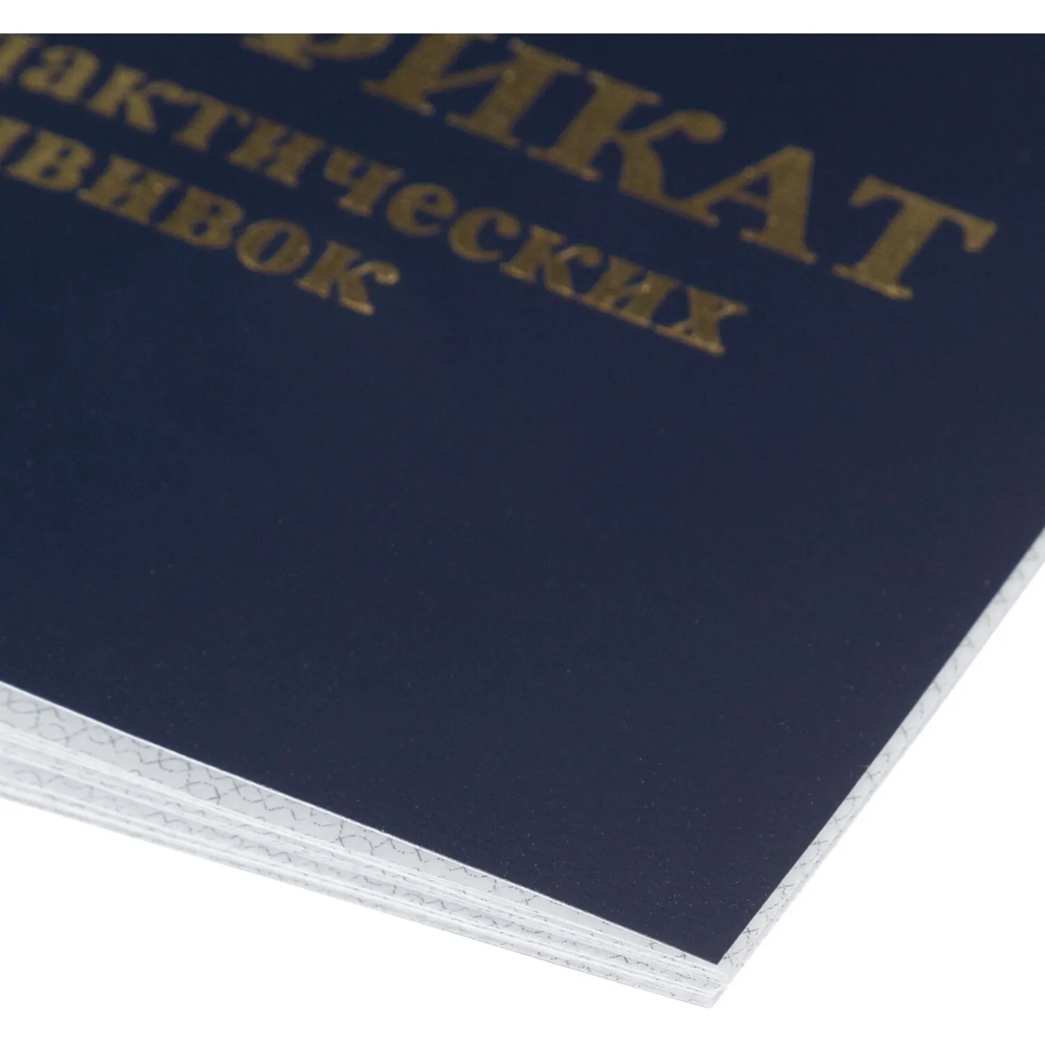 Сертификат прививочный мягкая обложка (5 штук в упаковке) - Image 18