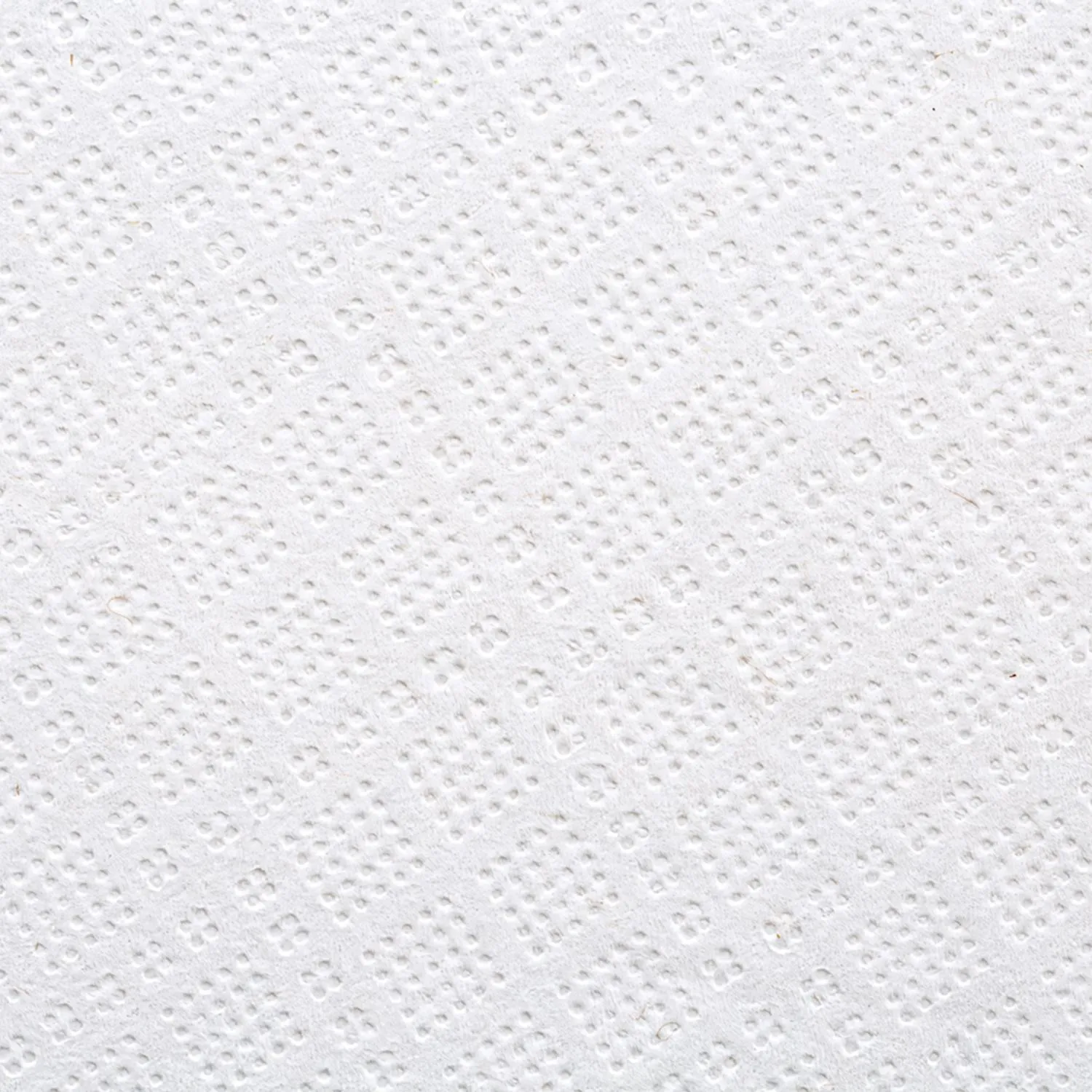 Полотенца бумажные рулонные с центральной вытяжкой Focus Premium M4 2-слойные белые 6 рулонов по 125 метров (5036772/50202216) - Image 3